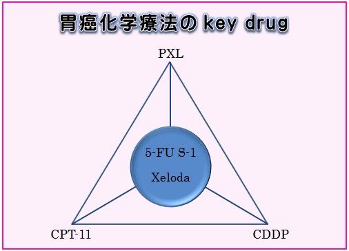 胃癌科学療法のkeydrug