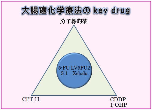 大腸癌科学療法のkeydrug